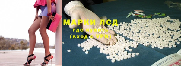 спайс Алзамай