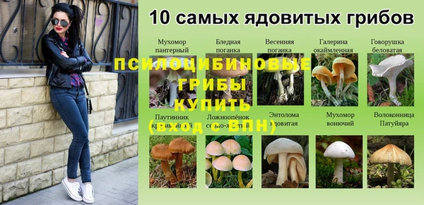 мдпв Алексин