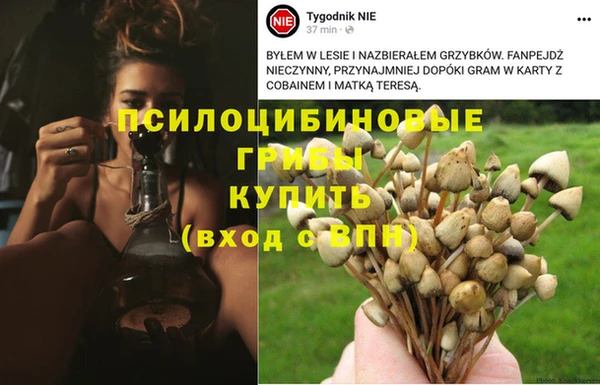 спайс Алзамай