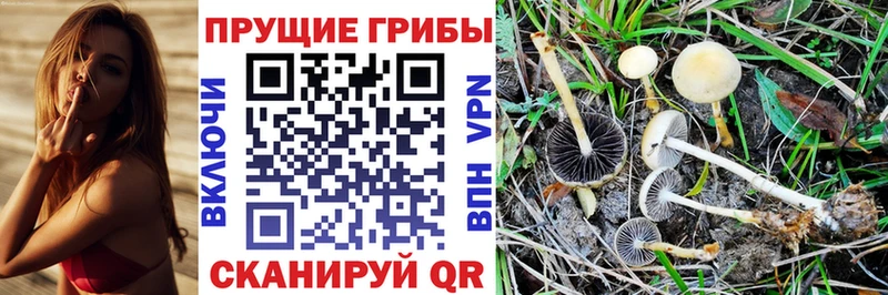 Псилоцибиновые грибы ЛСД  Лаишево 
